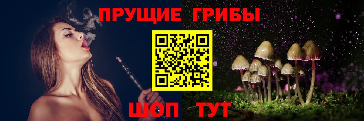 Галлюциногенные грибы MAGIC MUSHROOMS  Псилоцибиновые грибы Psilocybe  Альметьевск  Вход с VPN 